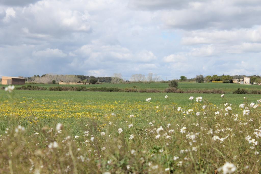 Activitats Bora Bora-empordà * Verges